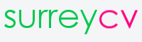 professional cv writing services London
